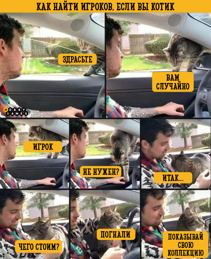 Кот свое дело знает