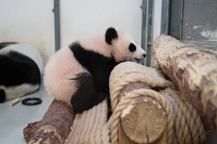 ������ �������� ��������� �� �� ���� ������. ���� ���� ��� �� ��������, � ����� ���������