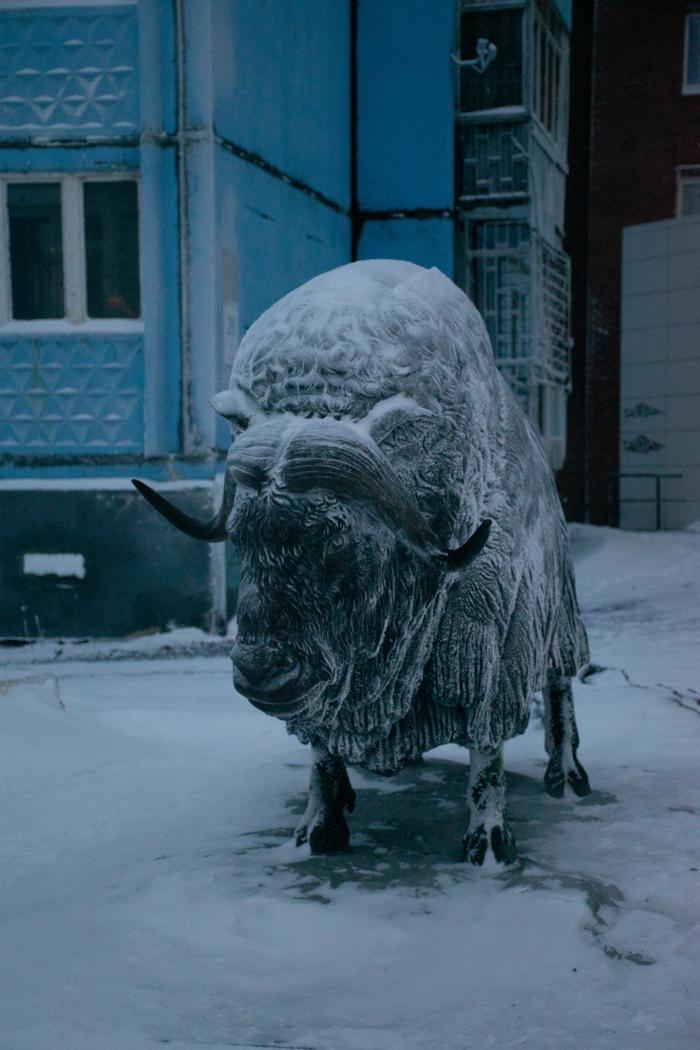 Забытый таймырский эксперимент