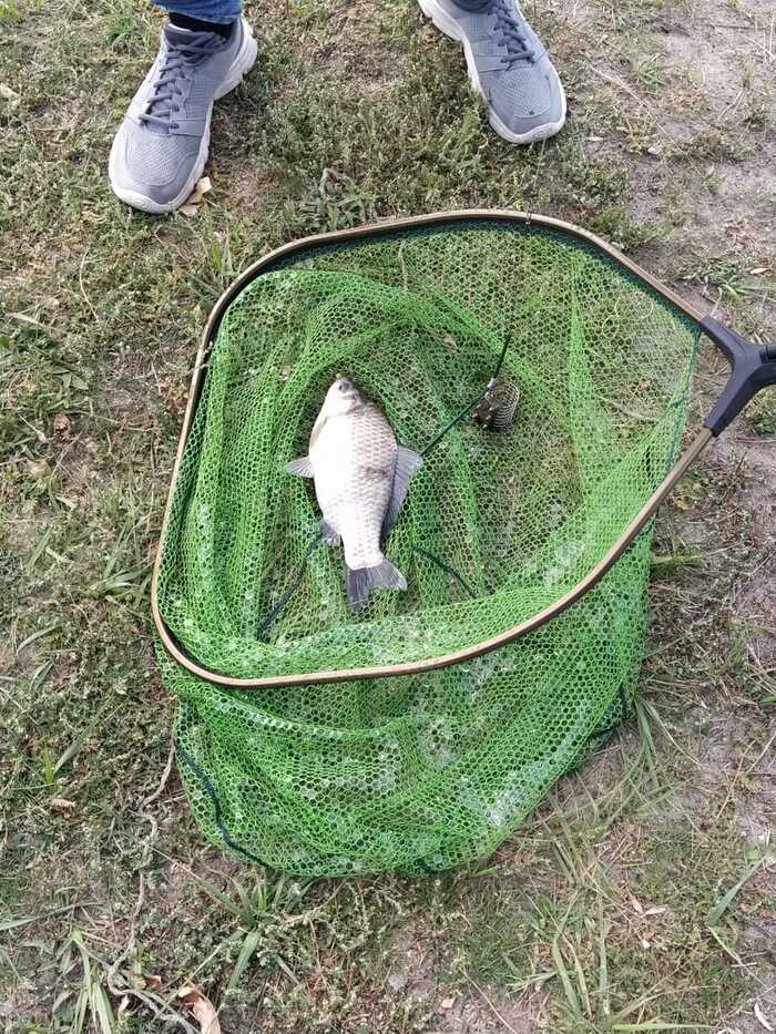 � ���� 43 ������ ���������