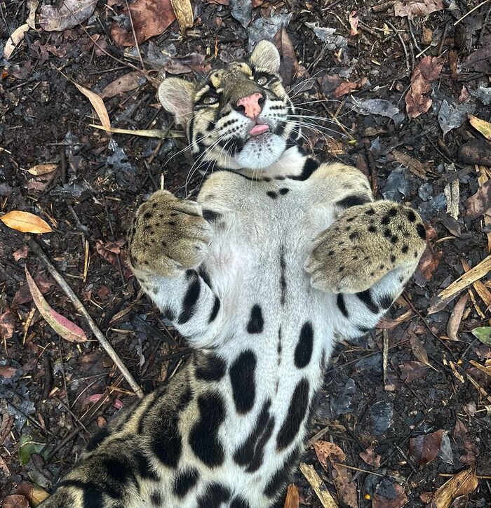 Давай поваляемся вместе