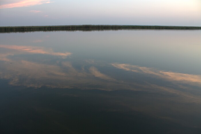 ��� �����, ������� ����� �����, ��������� � ������� ����.