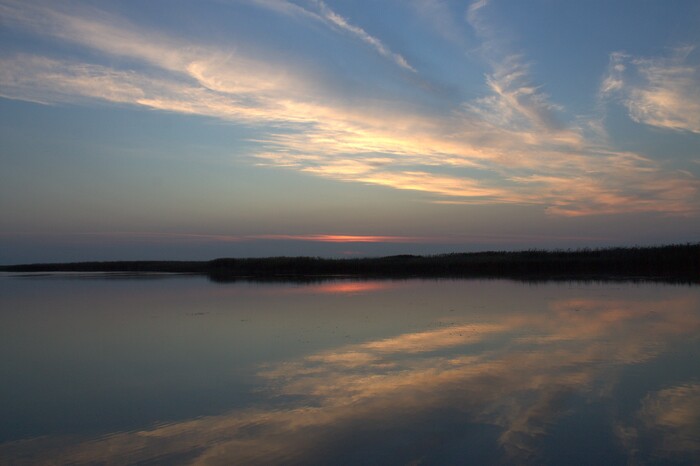 ������� ���������