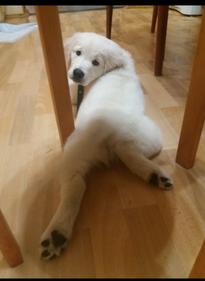 ������� �����