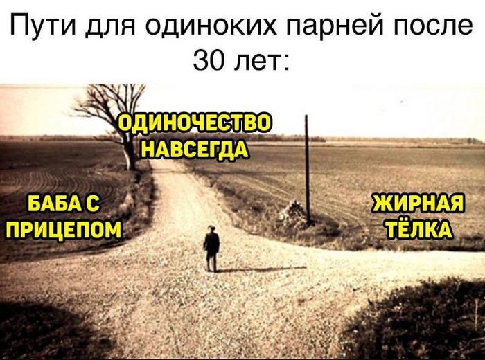   , Telegram (),   , 