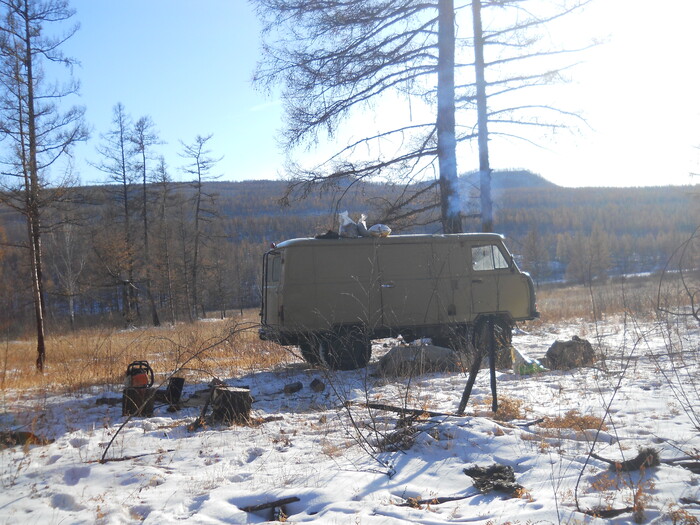 Готовили пищу себе и собакам обычно рядом на костре. Главное - не перепутать кастрюли!))) Часто для экономии времени брали из дома готовые замороженные блюда, разогревая их по мере необходимости.