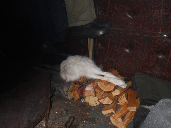 На ноябрьскую ночь при -20...25 хватало такого количества дров.