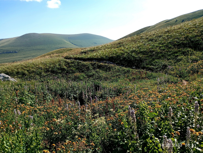 Тропа на "Псенодах"