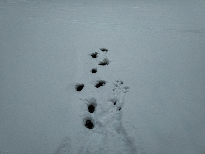 � ����, ����� � ����� � ��� ���� ���������� � ���-��, �������, ����� �������� �� �����