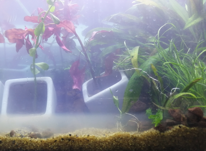 Похоже на термоклин, но скорее всего это бактериальная пленка. Да?