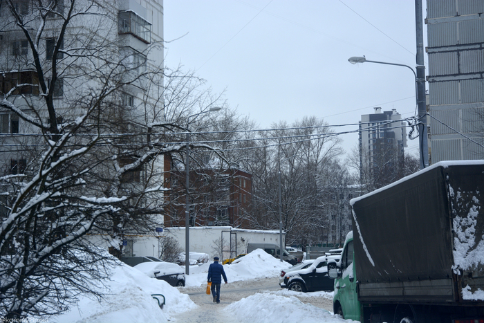 Пулковская улица