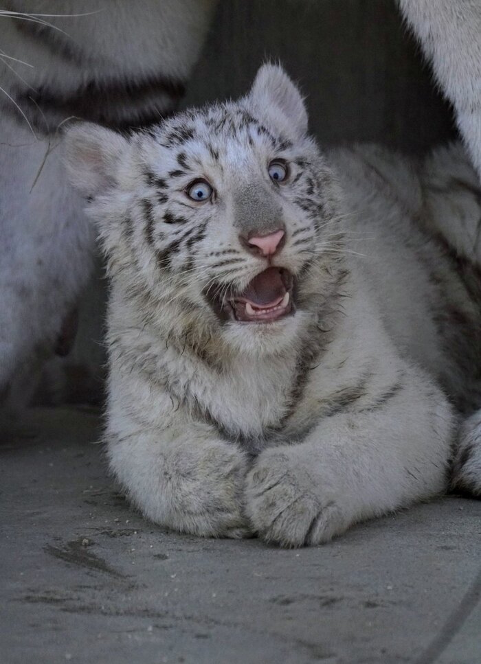 Как завтра понедельник?