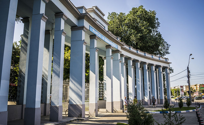 ���� ������� ���������