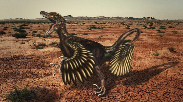 У оперённых динозавров - рапторов были и крылья, и руки. Но летать они не умели