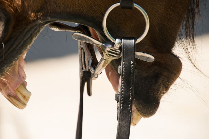 вам тоже, глядя на все эти фотографии, хотелось зевать?