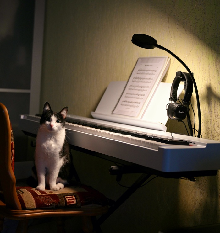 ����� �������� ������