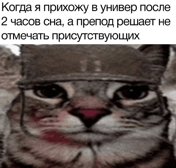  , Telegram (),   