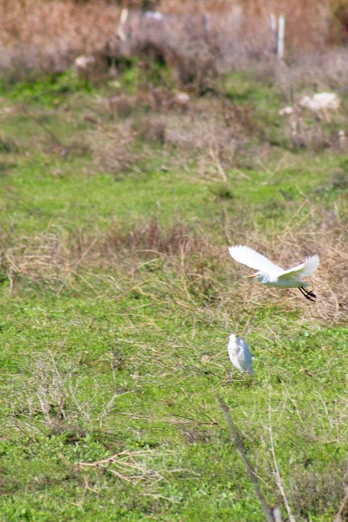 ��� ����� ����� ������ �� ������ �����, ���������� ���������.