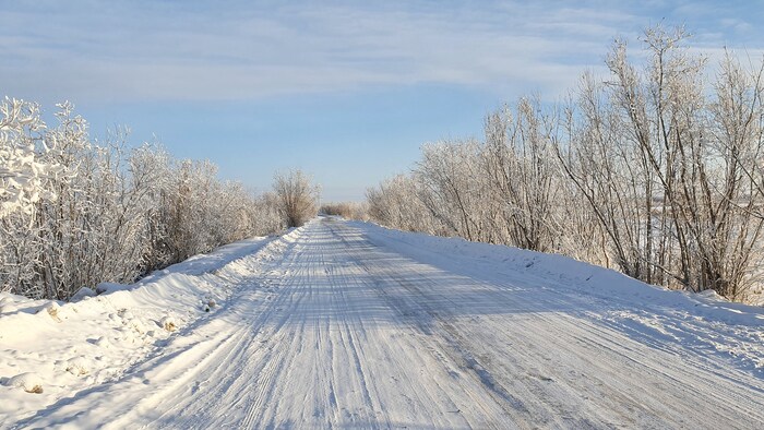 ��� �������.