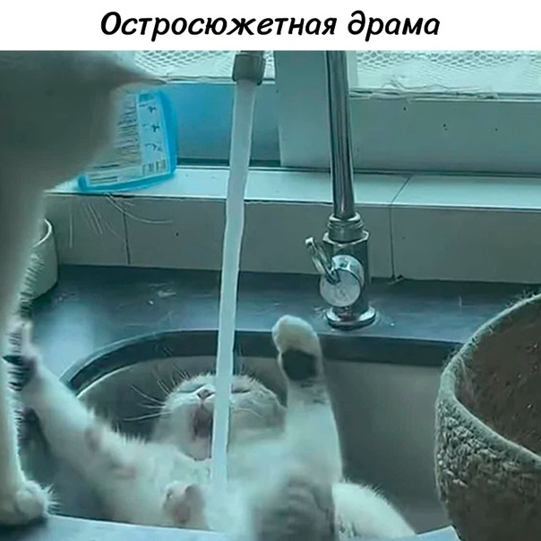  , , , YouTube