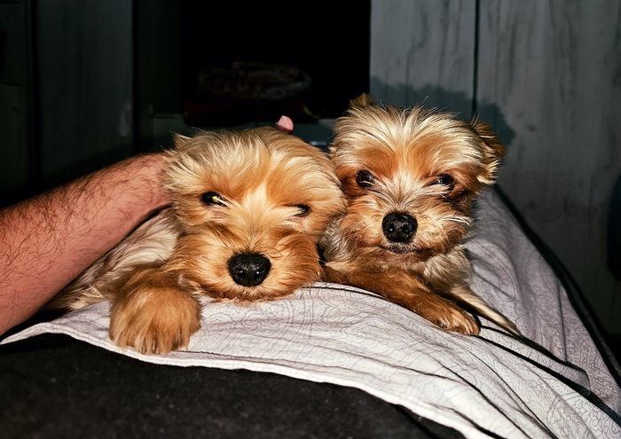 ������, ���� ���, �� �����...