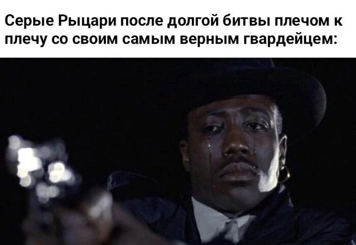 Серые Рыцари...