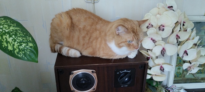 90ки нас покинули, а так удобно было на них лежать: )