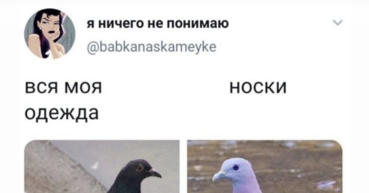 Носки | Пикабу