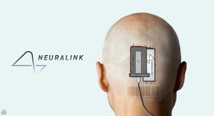   Neuralink     , Neuralink, ,  , Telegram (), 