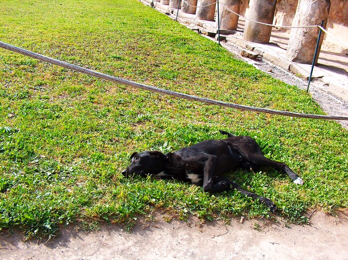 ���������� �����