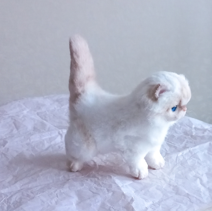 Белый экзот.