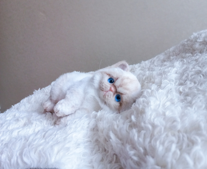 Котенок игрушка из шерсти.