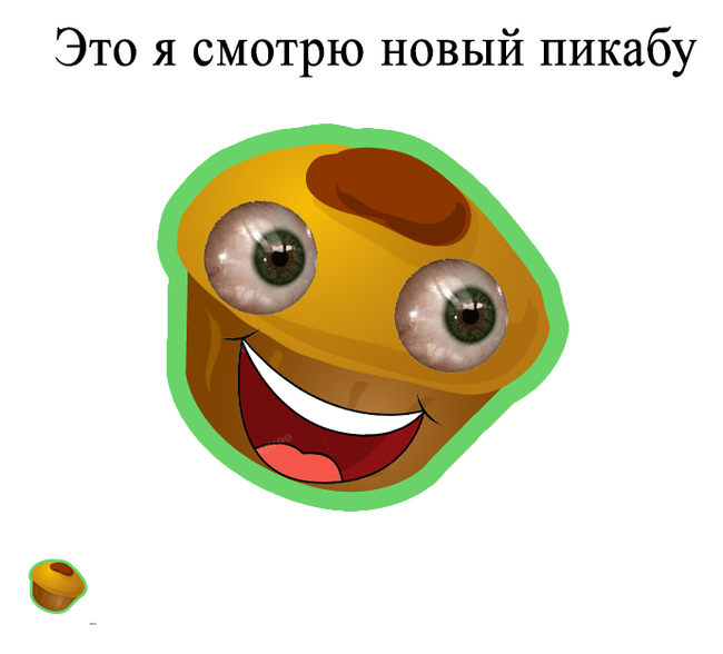 ���������, ���, ��� ��������, �� �������, ���������, ��, ���, ����� ������ :DDD