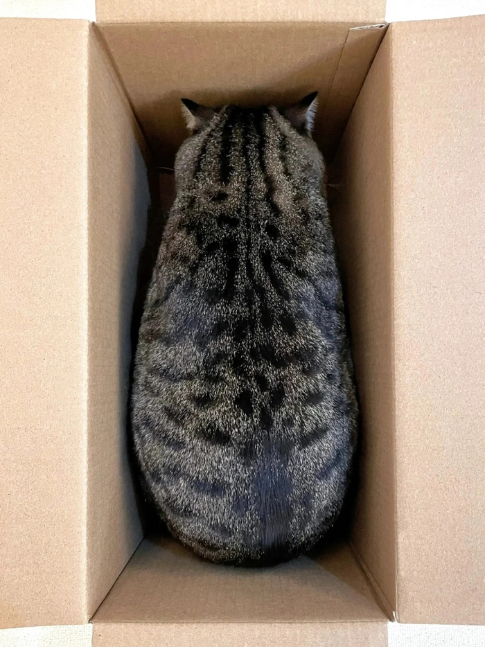 , , , 
