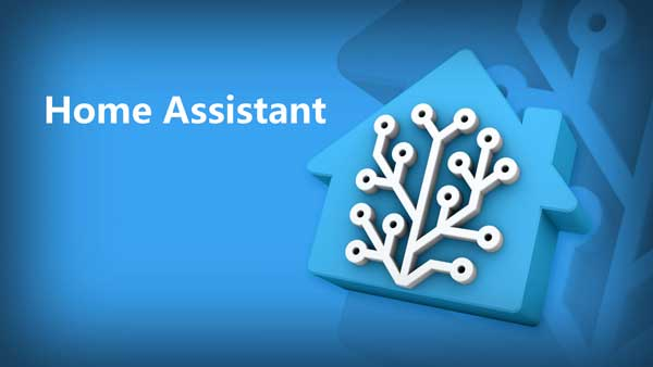      Hass, Home Assistant,  