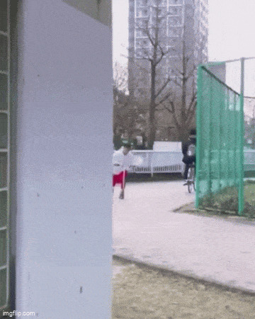 Гифки дня | Пикабу
