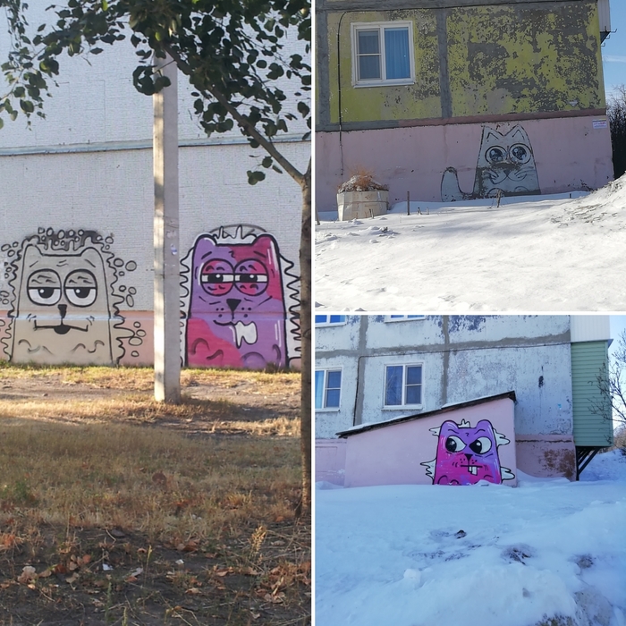 Котики на районе (или не котики?)