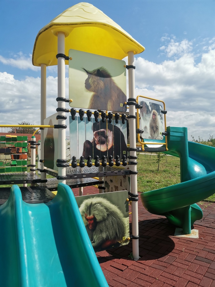 Обезьяны на детской площадке. Что-то мне подсказывает, что дезигнер не очень любит детей))