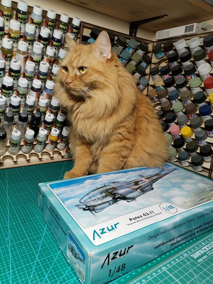 Potez 63-11  1/48 Azur  , , , ,   , , 