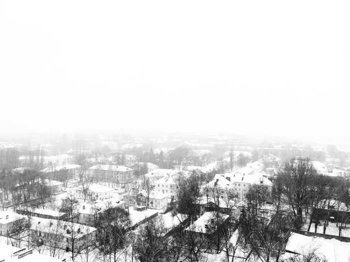 Мечта идиота | Пикабу