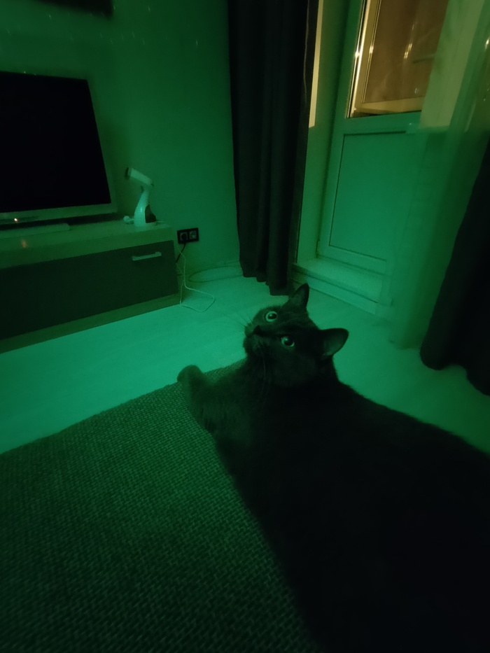 Залипательно