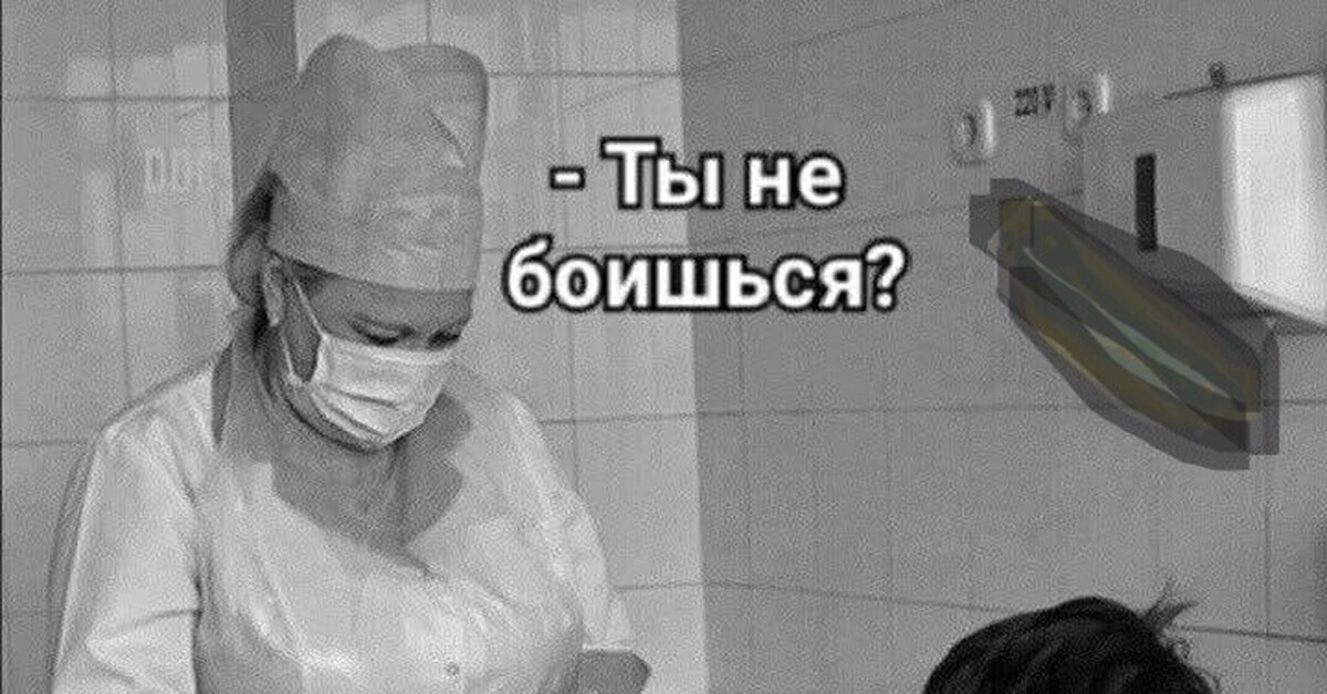 Папка)) | Пикабу