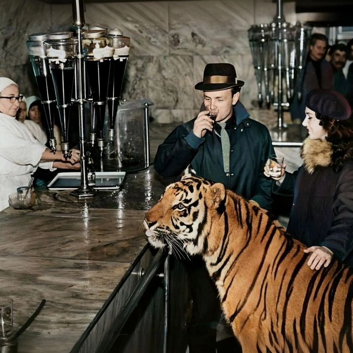 Дрессировщик Вальтер Запашный с женой Татьяной и тигром Тайфуном на прогулке. 1964 год