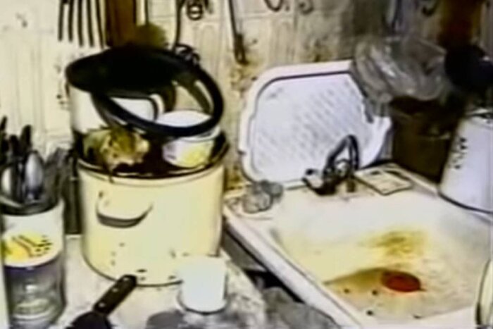 ����� ���������