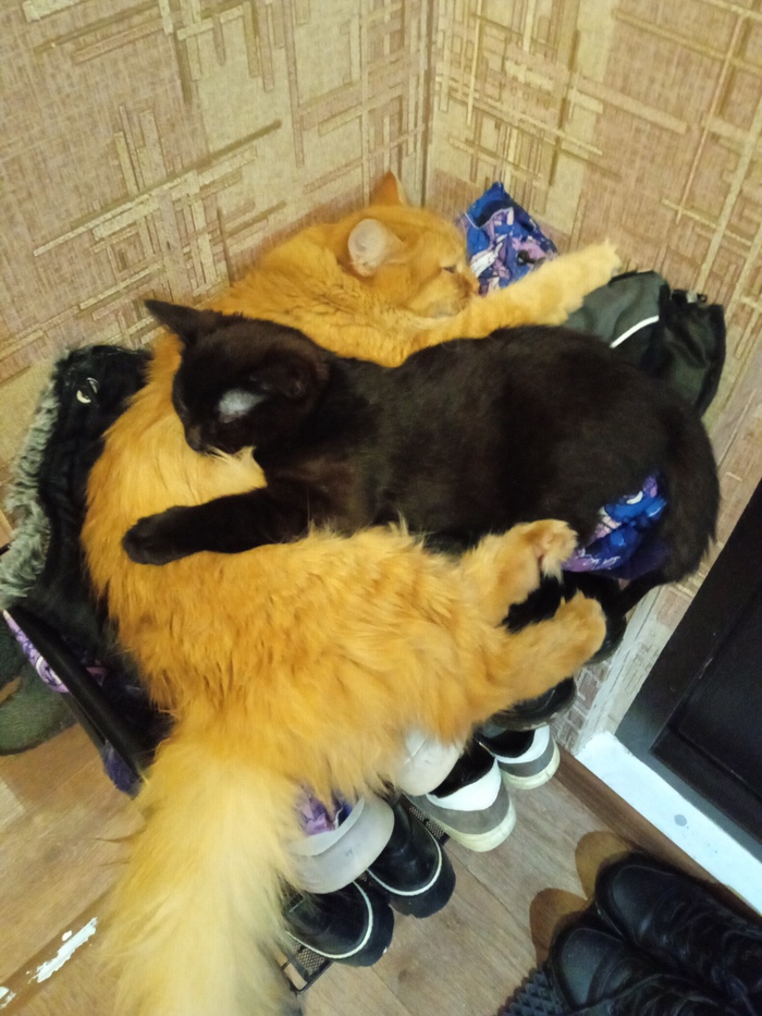 ������� �������!