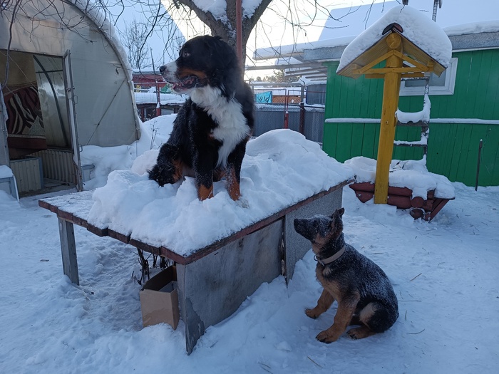 Декабрь 2023 (4 месяца)