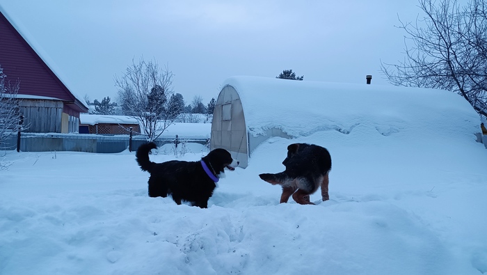 Февраль 2024 (6 месяцев)