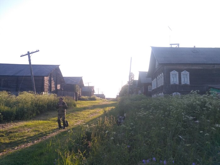 Расскажу о своей профессии плотника-реставратора Пятничный тег моё, Дерево, Мечта, Ручная работа, Мужчины, Мат, Длиннопост