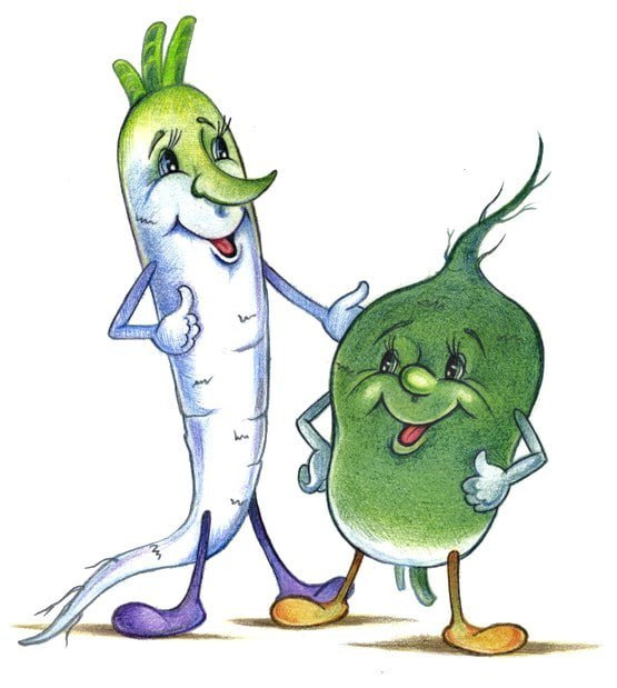 Хрен редьки не слаще. Почему так говорят?