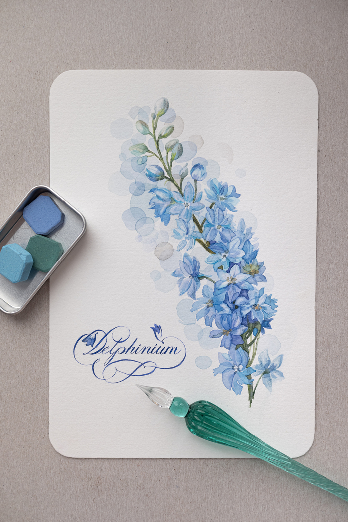 Дельфиниум